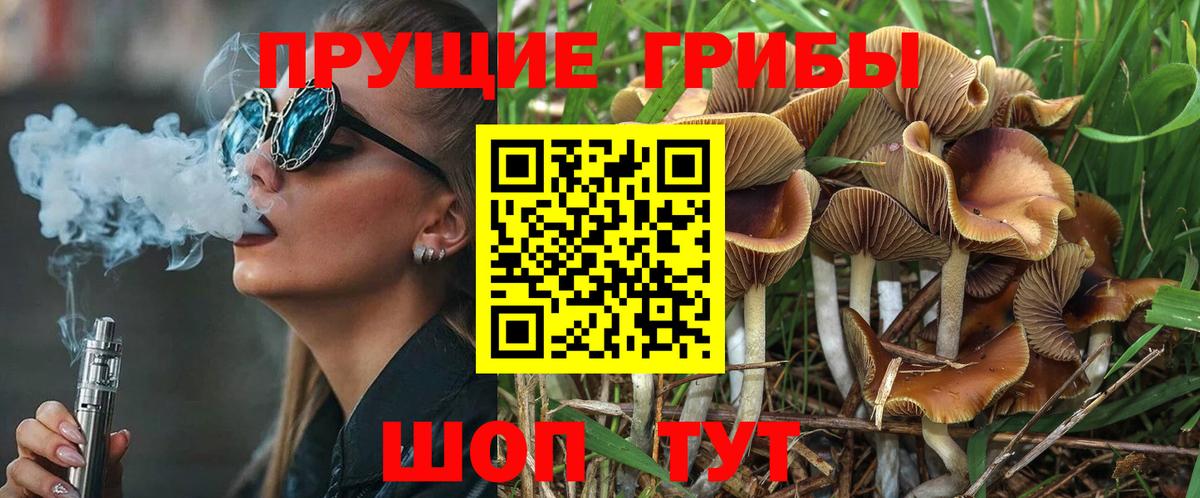 купить закладку  Вход с VPN  Котельники  Псилоцибиновые грибы Psilocybine cubensis 